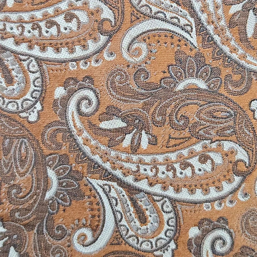 Robert Talbott Best of Class Nordstrom‎ Silk Neck Tie Copper Paisley 59x3.5